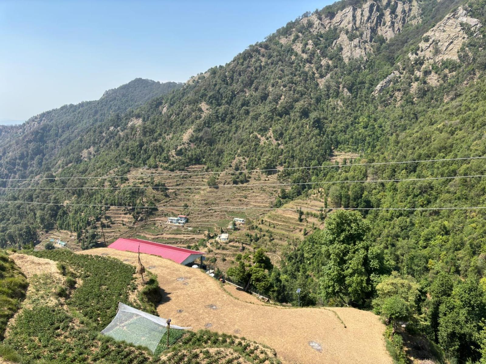 The Groove Garden Dhanolti Dhanaulti Luaran gambar